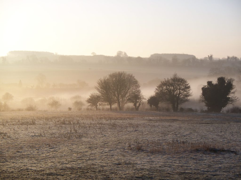 Winter’s golden glow: Spectacular views from the cottage year-round